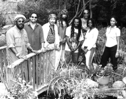 The Wailers